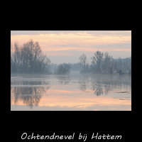 Ochtendnevel bij Hattem
