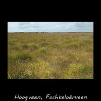 Hoogveen, Fochtelo�rveen