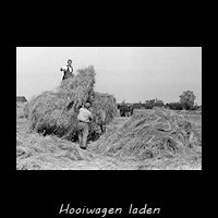 Hooiwagen laden