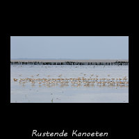 Kanoeten rusten op het Wad