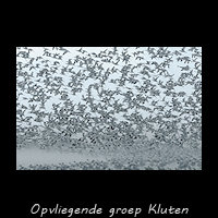 Opvliegende Kluten