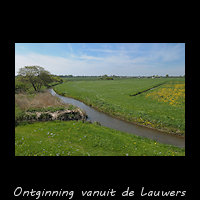 Alde Lauwers - ontginnings patroon