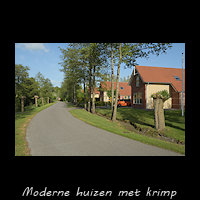 Moderne Woudhuizen met krimp