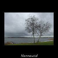 Nannewiid, Groote Sint Johannesgasterveenpolder