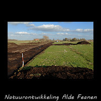 Natuurontwikkeling, Alde Feanen