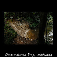 Oudemolense Diep - steilwand