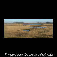 Pingoruines op de Duurswouderheide