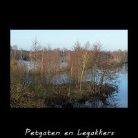 Leeg