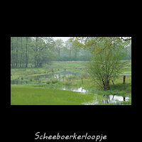 Scheebroekerloopje