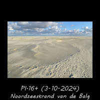 Het Noordzeestrand van de Balg