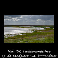 Het Rif in 2010, zandplaat van de binnendelta