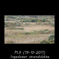 Ingesloten strandvlakte achter stuifdijk