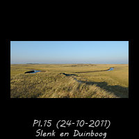 Laatste duin op de kwelder van Schiermonnikoog