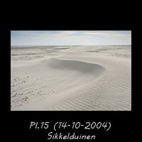Sikkelduinen op het strand van Schiermonnikoog