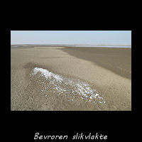 Bevroren en kurkdroog slik