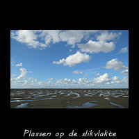 Spiegelende plassen op droog slik