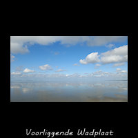 Het landschap van de Voorliggende Wadplaat bij eb