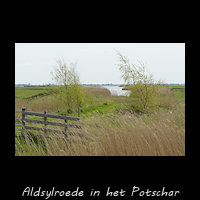 Aldsylroede aan de Griene Dyk