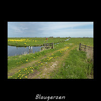 De Blaugerzen