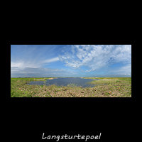 Langsturtepoel