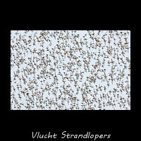 Groet groep vliegende strandlopers