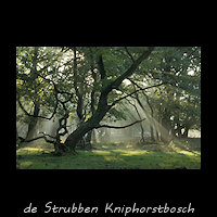 de Strubben Kniphorstbosch