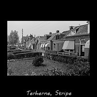Stripe, Terherne