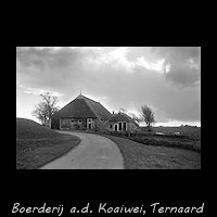 Boerderij aan de Koaiwei bij Ternaard
