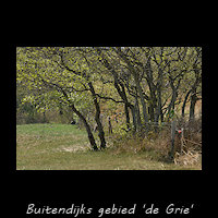 Buitendijks cultuurlandschap van de Grie
