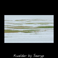 Kwelder bij Seeryp