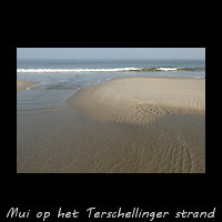 Kleine mui op het strand bij paal 18