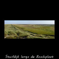 De stuifdijk langs de Boschplaat van Terschelling