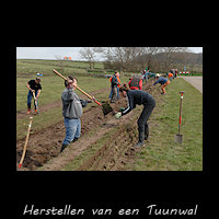 Herstel van een Tuunwal op Texel