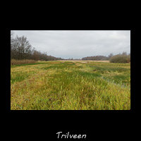 Trilveen, Rottige Meenthe