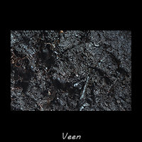 Veen