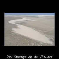 Stuifduintje op de Vliehors