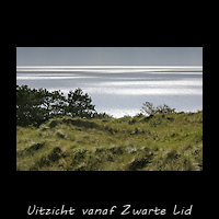 Zwarte Lid, hoog duin met uitzicht op de Waddenzee