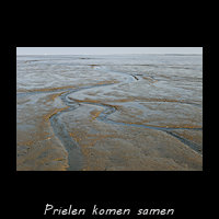 Netwerk van Prielen aan begin van Geul