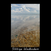 Slikkige bodem op het Friese Wad