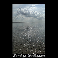 Stroomribbels op een zandplaat op het Friese Wad