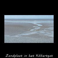 Zandplaat met sporen