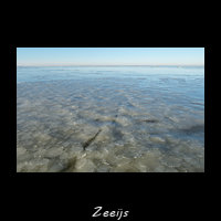 Zeeijs