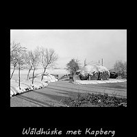 Woudboerderijtje met Kapberg