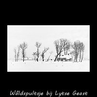 W�ldh�ske in sneeuwlandschap winter 1939/40