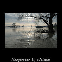Hoogwater in de IJssel bij Welsum