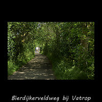Heggen van de Bierdijkerveldweg bij Vatrop