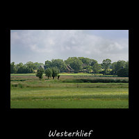 Westerklief