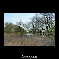 De Leienpoel aan de oostkant van de Witte & Zwarte Brekken