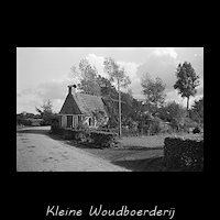 Woudeboerderijtje op onbekende locatie