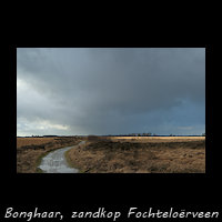 Bonghaar, Fochtelo�rveen